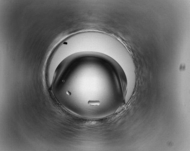 X0000101950152200808151300