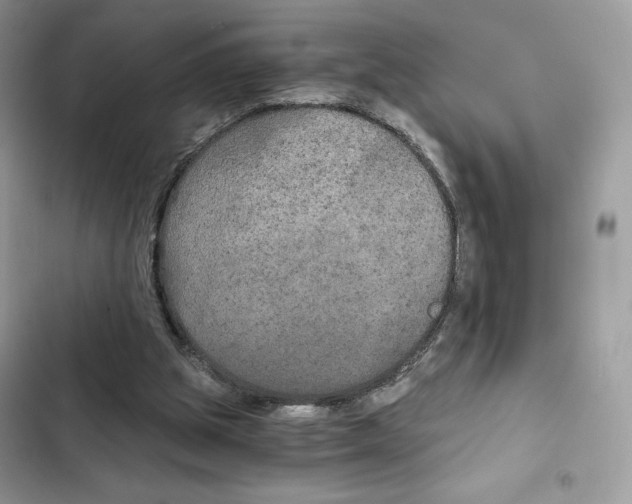 X0000101950153200808151300