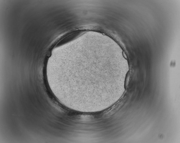 X0000101950154200808151300