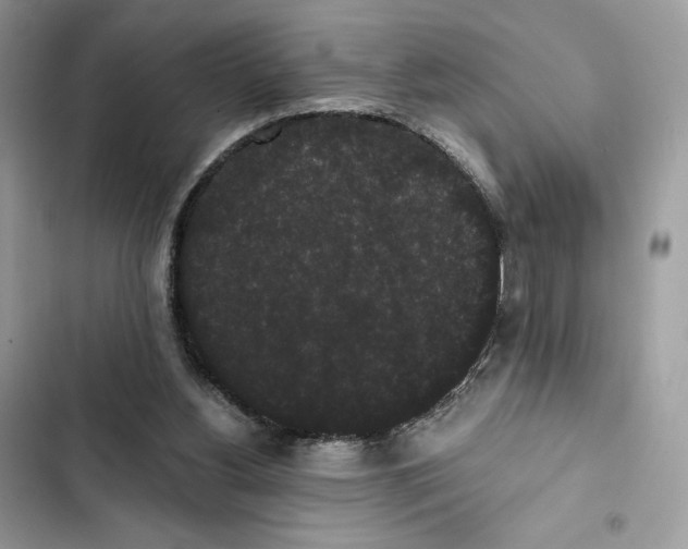 X0000101950156200808151300