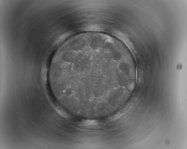 X0000101950157200808151300