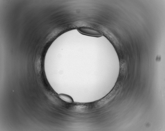 X0000101950158200808151300