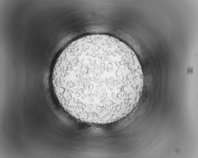 X0000101950159200808151300