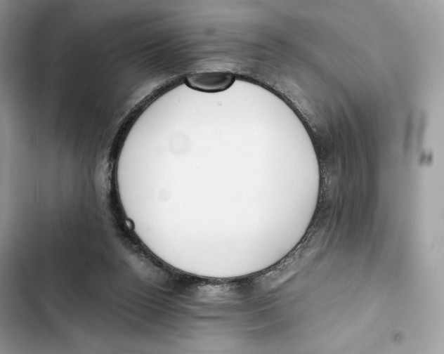 X0000101950160200808151300