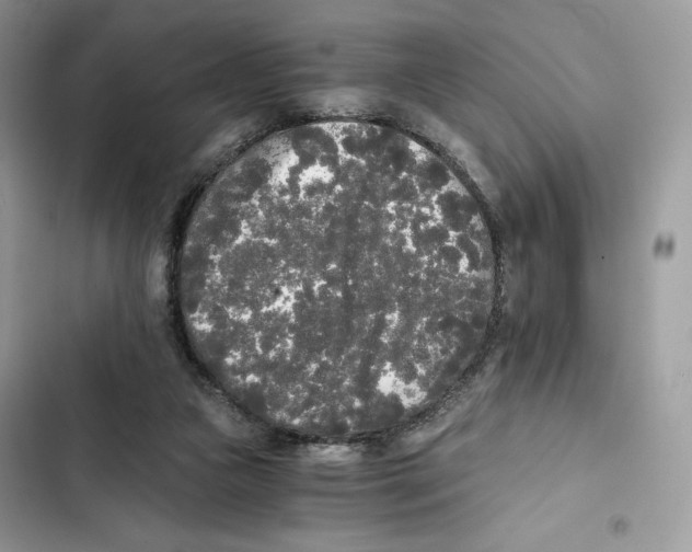 X0000101950161200808151300