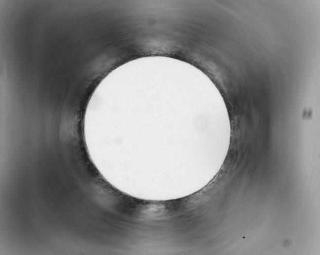 X0000101950162200808151300