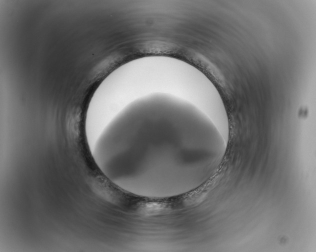 X0000101950163200808151300