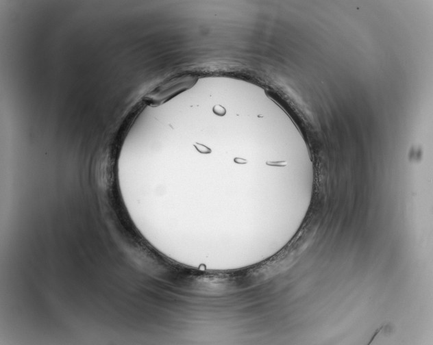 X0000101950164200808151300