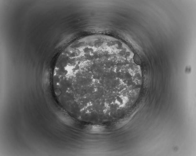X0000101950165200808151300