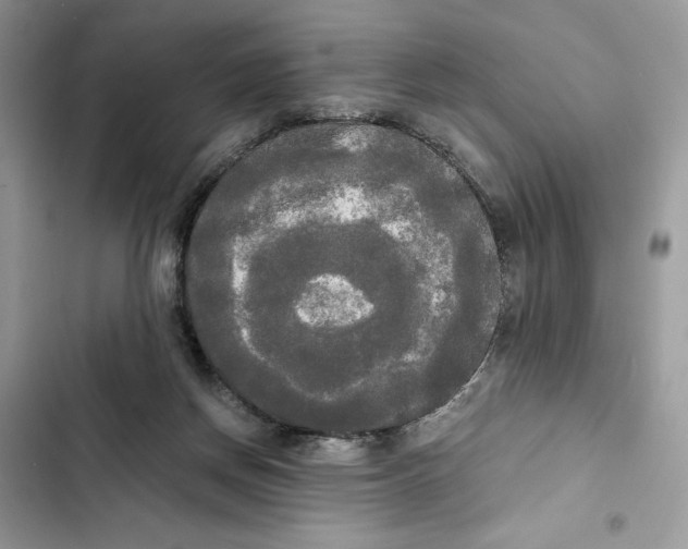 X0000101950166200808151300