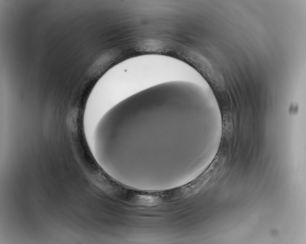 X0000101950167200808151300
