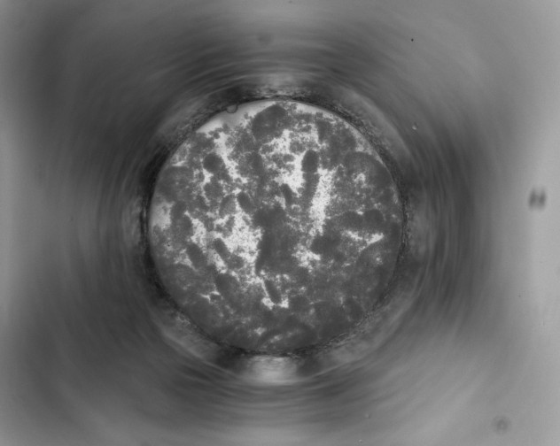 X0000101950169200808151300