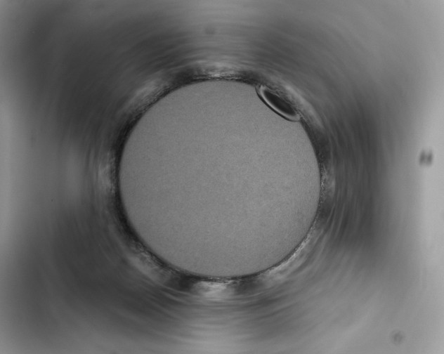 X0000101950170200808151301