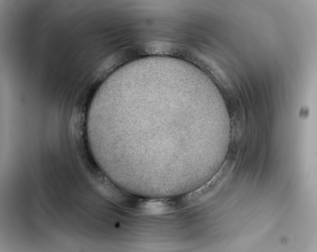X0000101950171200808151301