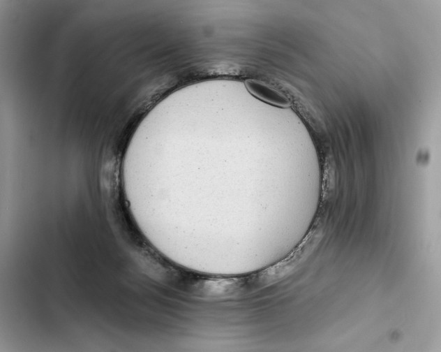 X0000101950172200808151301