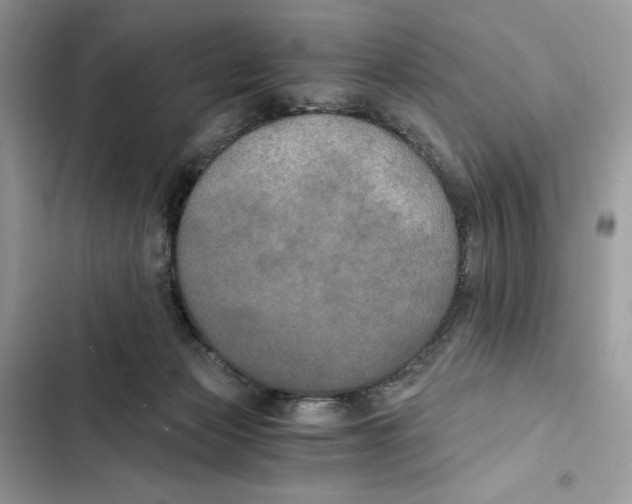 X0000101950173200808151301