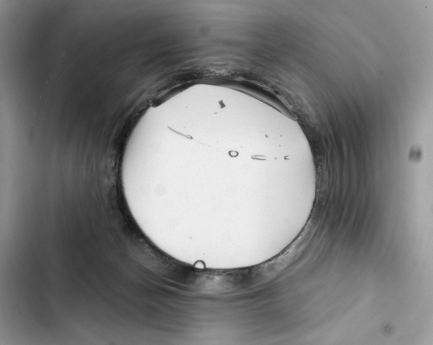 X0000101950174200808151301