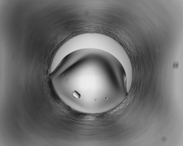 X0000101950176200808151301