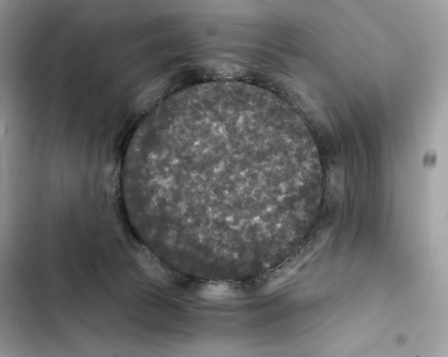 X0000101950177200808151301