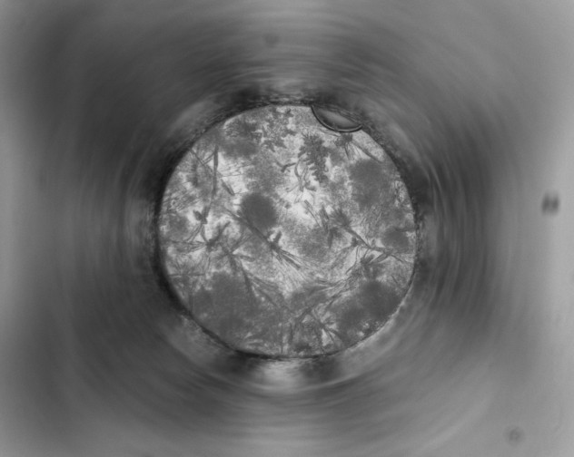 X0000101950178200808151301