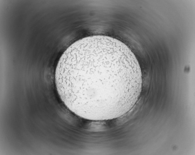 X0000101950179200808151301