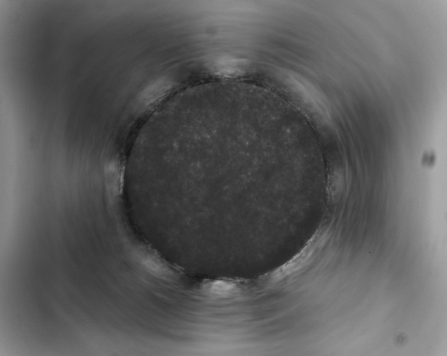 X0000101950180200808151301