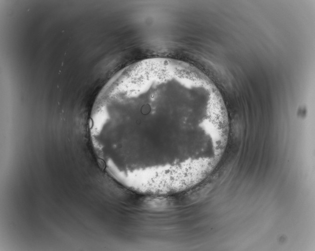 X0000101950181200808151301
