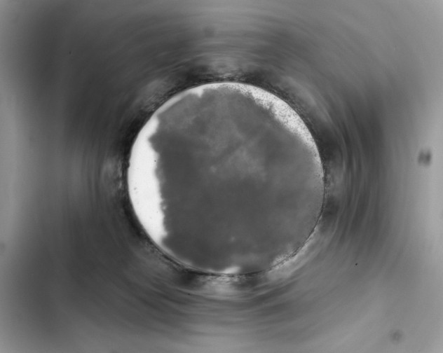 X0000101950182200808151301