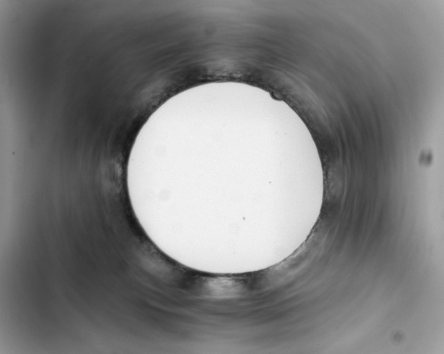X0000101950183200808151301