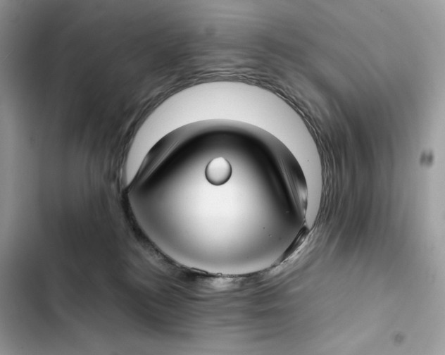 X0000101950184200808151301