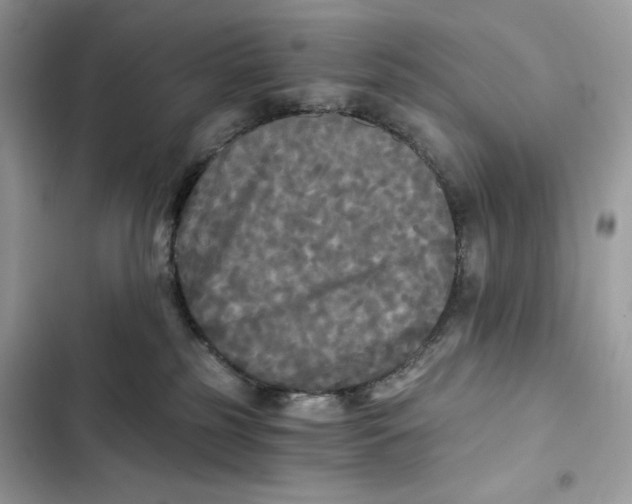 X0000101950185200808151301