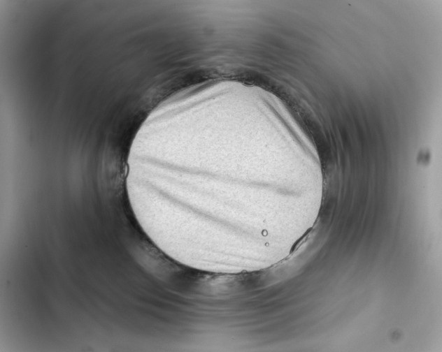 X0000101950186200808151301