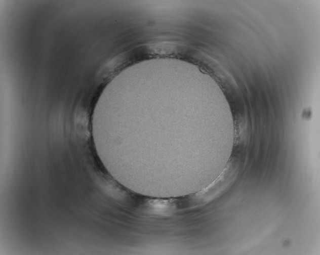X0000101950187200808151301