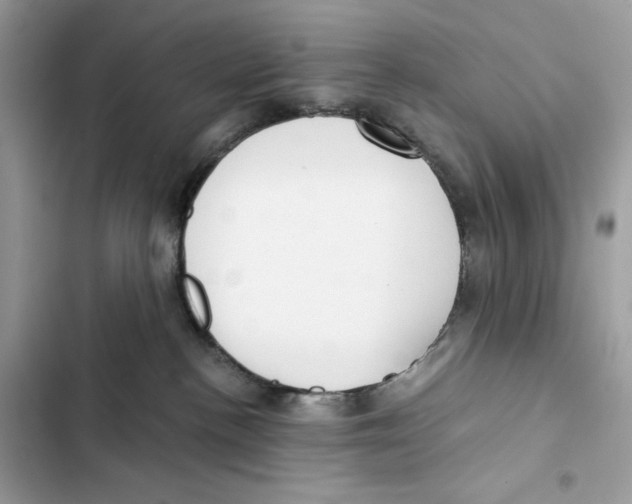 X0000101950188200808151301