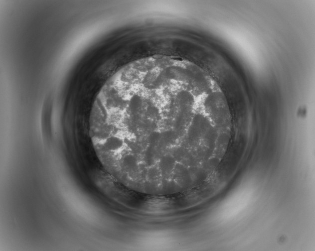X0000101950189200808151301