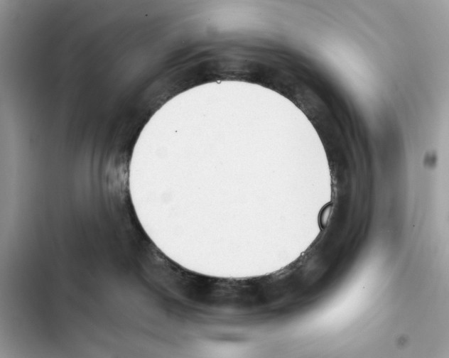 X0000101950190200808151301