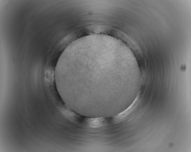 X0000101950191200808151301