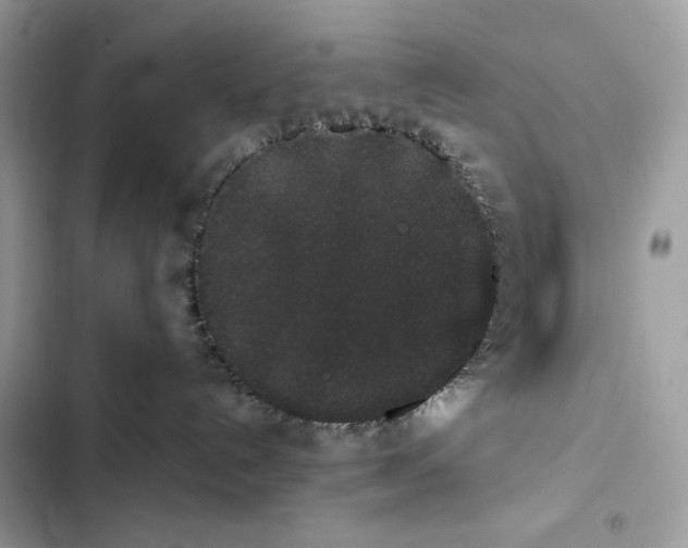 X0000101950192200808151301