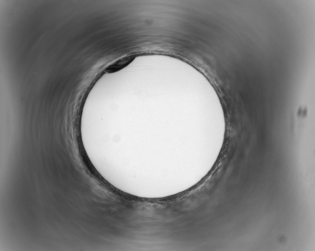 X0000101950193200808151300