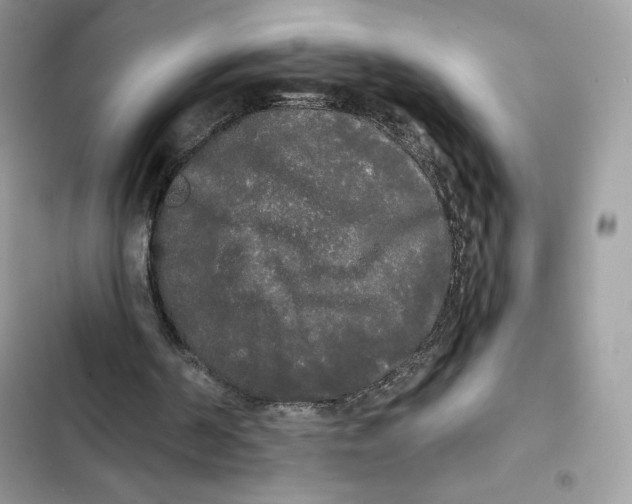 X0000101950194200808151300