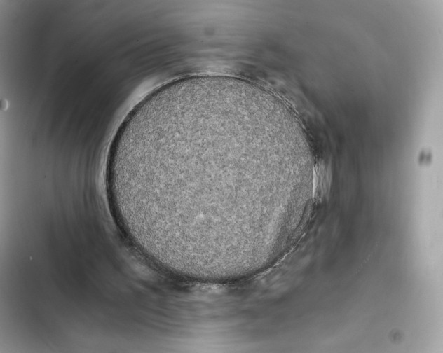 X0000101950195200808151300