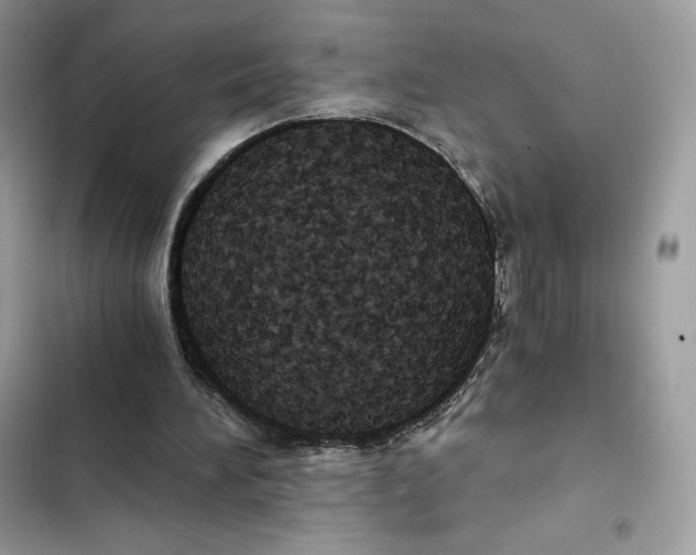 X0000101950196200808151300