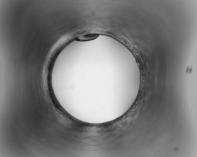 X0000101950197200808151300