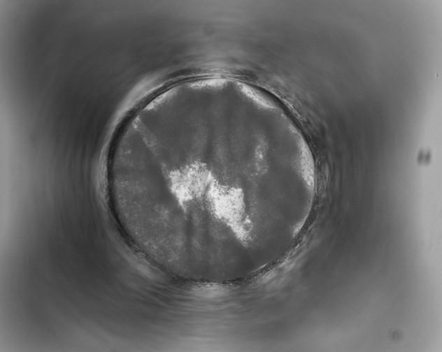 X0000101950198200808151300