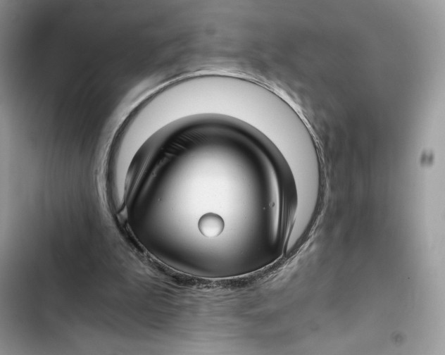 X0000101950199200808151300