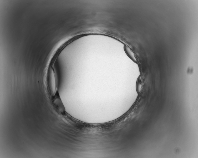 X0000101950200200808151300