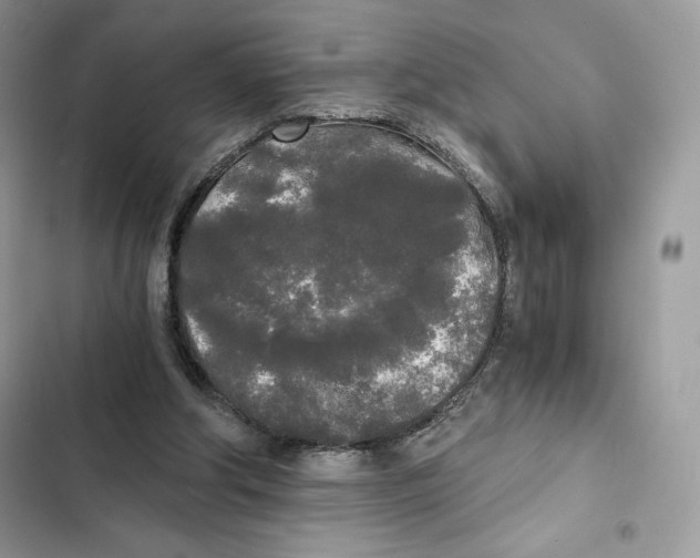 X0000101950202200808151300