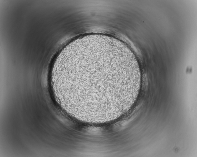X0000101950203200808151300
