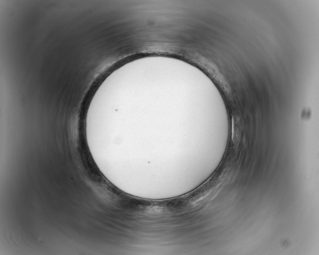 X0000101950204200808151300