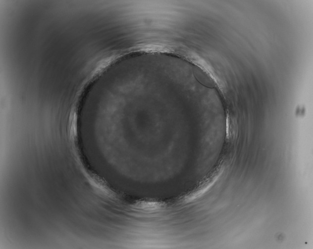 X0000101950205200808151300